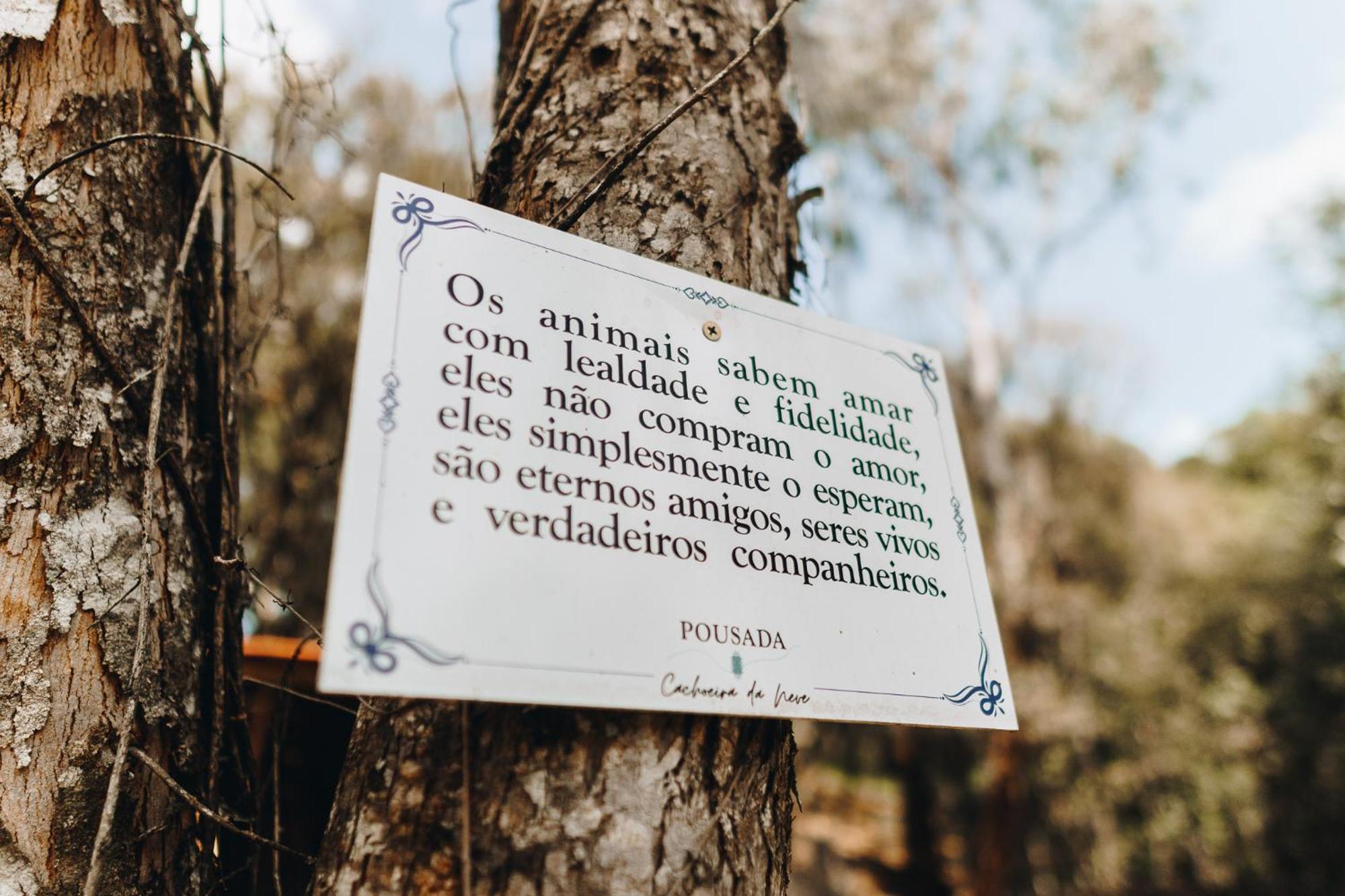Chale Harmonia Da Floresta- Pousada Cachoeira Da Neve Urubici Luaran gambar