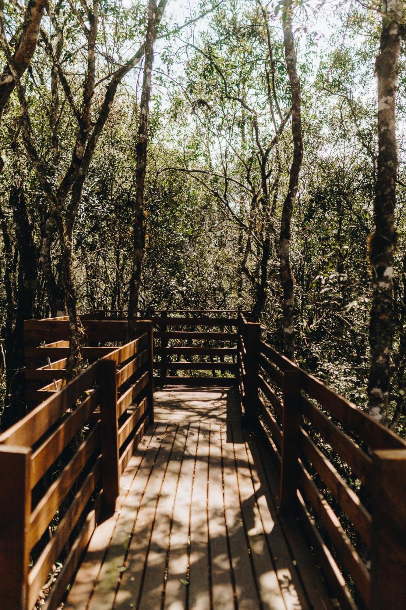 Chale Harmonia Da Floresta- Pousada Cachoeira Da Neve Urubici Luaran gambar