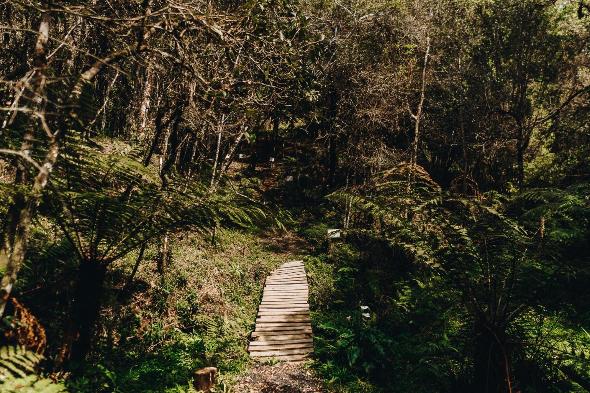 Chale Harmonia Da Floresta- Pousada Cachoeira Da Neve Urubici Luaran gambar